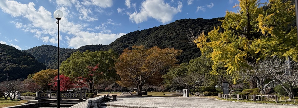 トータル・カー・リフレッシュ・スワン